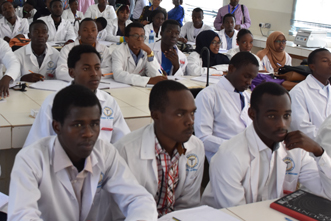Undergraduate Programmes